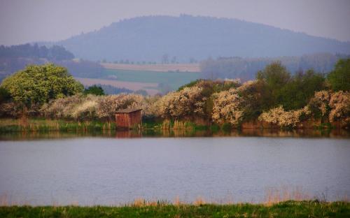 velky_kozlovsky_rybnik.jpg