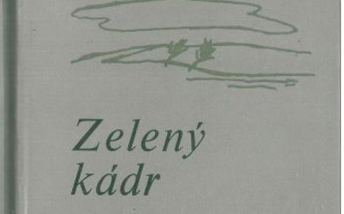 zeleny_kadr.jpg