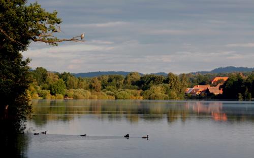 dolejsi_rybnik_v_tchorovicich.jpg