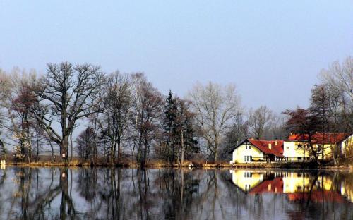 mlynsky_rybnik_u_mladejovic_s_majestatnim_zizkovym_dubem.jpg