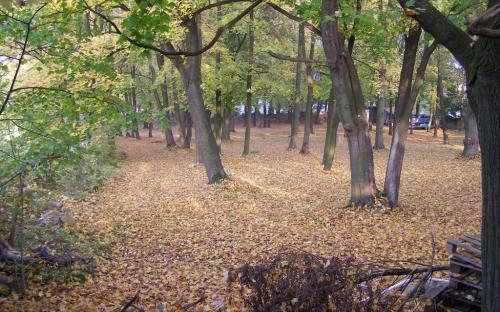 zamecka_panska_zahrada_v_r._2010.jpg