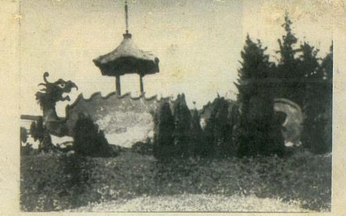 puvodni_drak_indiosek.jpg