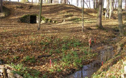 nemcicky_park_se_studankou_cerne_pani.jpg