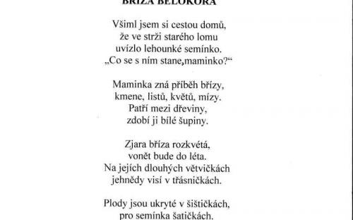 1139382756_brezen-poezie-3.jpg