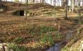nemcicky_park_se_studankou_cerne_pani.jpg
