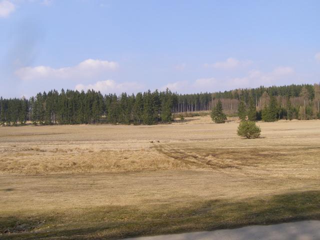 Borovnice